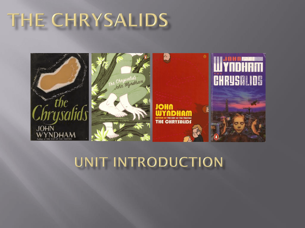Chrysalids essay theme