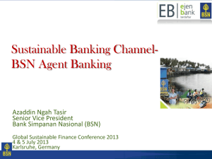 BSN Agent Banking