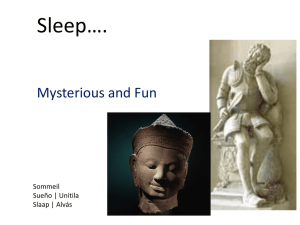 Sleep: Mysterious and Fun