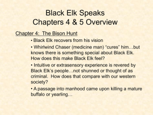 Black Elk Chapter Overview 4+ - Amstud 2010