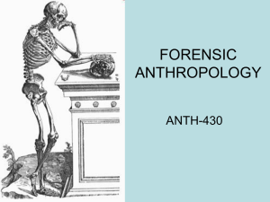 forensic anthropology 2013