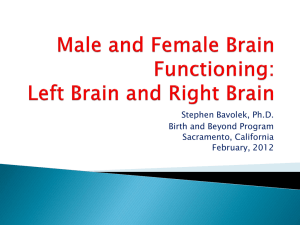 Male and Female Brain Functioning: Left Brain vs Right Brain