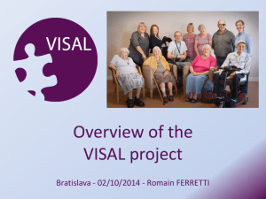 Overview of the VISAL project