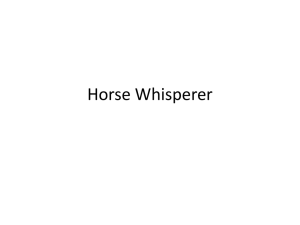 Horse Whisperer File - the Redhill Academy