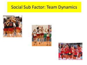 Social Sub Factor: Team Dynamics