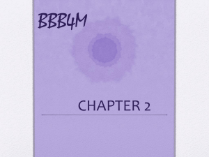 chapter+2+bbb4m