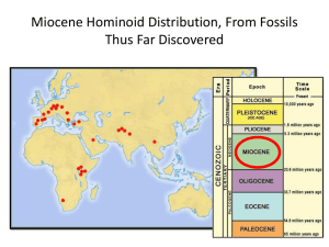 Miocene Hominoid Distribution, From Fossils Thus Far Discovered
