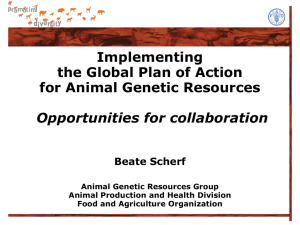 Global Plan of Action for Animal Genetic Resources