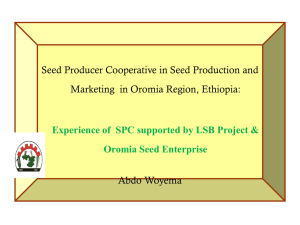 Local seed business seed conservator and seed