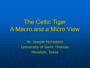The Celtic Tiger A Macro and a Micro View