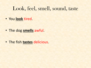 Look, feel, smell, sound, taste