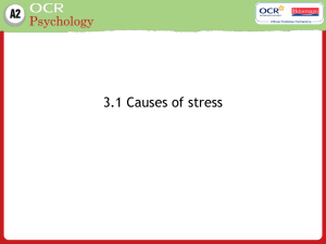 3.1 Causes of stress - School