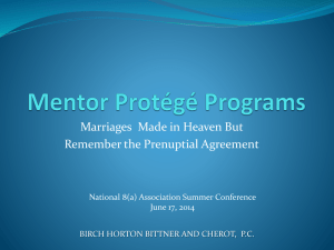 Mentor Protégé Programs - National 8(a) Association