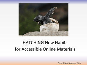 Hatching New Habits for Accessible Online Materials