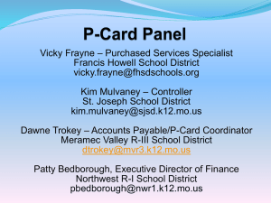 P-Card Panel