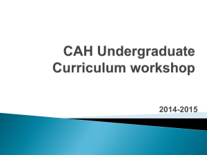 CAH Undergraduate Curriculum Support
