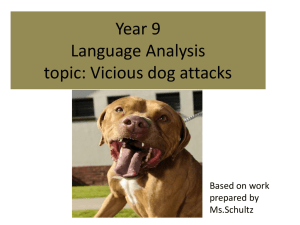 Year 9 Language Analysis topic: Vicious dog