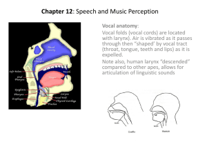 Chapter 12: Speech and Music Perception