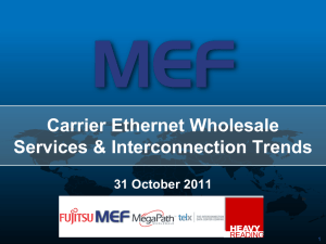 Carrier Ethernet Wholesale Services and Interconnect Trends