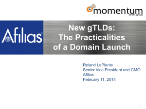 Webinar_New gTLD Practicalities_11FEB2014_FINAL