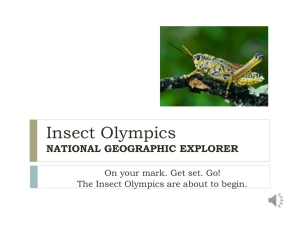 Insect Olympics