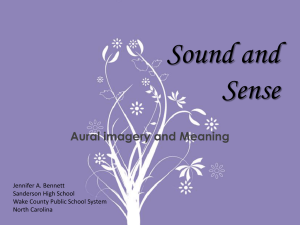 Aural Imagery: Sound and Sense Devices