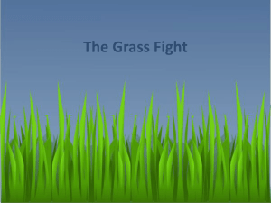 The Grass Fight