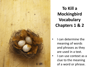 To Kill Mockingbird Vocabulary Chapters 1 & 2