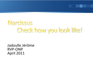 Narcissus High level presentation
