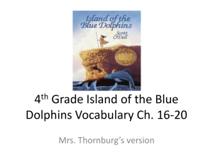 4th Grade Island of the Blue Dolphins Vocabulary Ch. 16-20