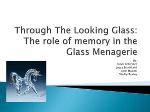 Through The Looking Glass: The role of memory in the Glass