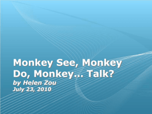 Monkey See, Monkey Do, Monkey... Talk?