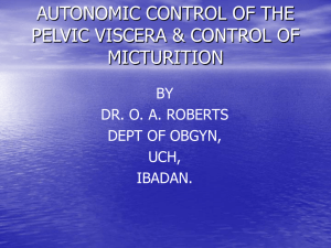 AUTONOMIC CONTROL OF THE PELVIC VISCERA - Dr