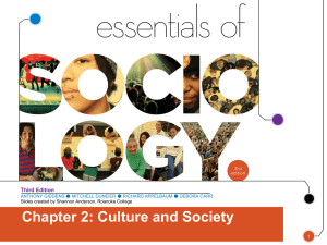 Chapter 2: Culture and Society