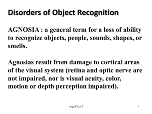 visual perception-for