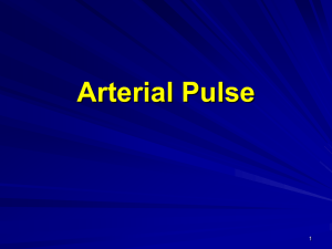 Arterial Pulse