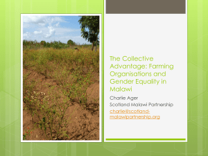 gender equity and farming organisations in Malawi