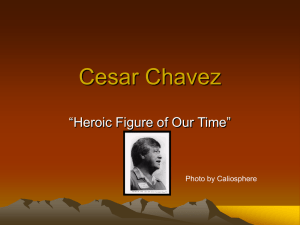 Cesar Chavez - Library From Patricia Littlefield