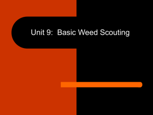 Unit 9: Basic Weed Scouting