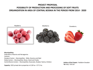 PROJECT PROPOSAL POSSIBILITY OF PRODUCTION AND PROCESSING OF SOFT