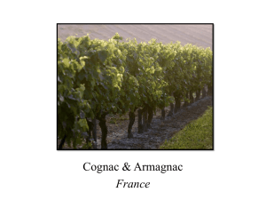 Epic Wines France Edu PPT