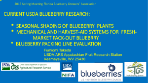Current USDA Blueberry Research