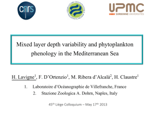 Mixed layer depth variability and phytoplankton phenology in the