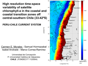 High resolution time-space variability of satellite chlorophyll