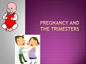 Pregnancy and the Trimesters