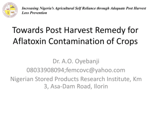 Towards Post Harvest Remedy for Aflatoxin