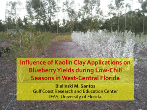 Influence of Kaolin Clay Applications on Blueberry Yields during