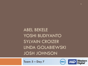 Team 5 WD Dell
