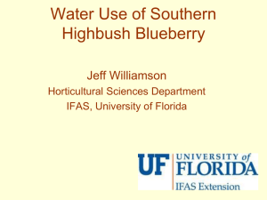 Water Use of Southern Highbush Blueberry (PowerPoint)