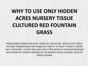 See Slide Show - Hidden Acres Nursery, Inc.